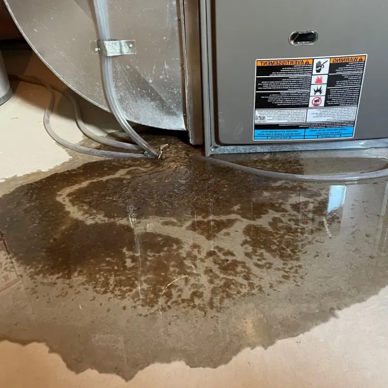 Pipe Burst and Leak Restoration in Ross, CA
